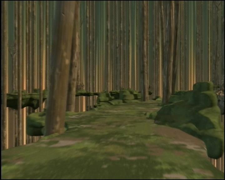 Foret saison 1